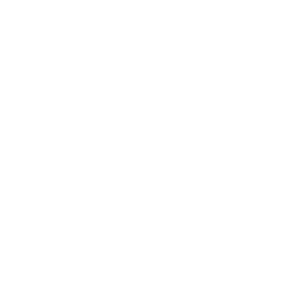 Partner Icon